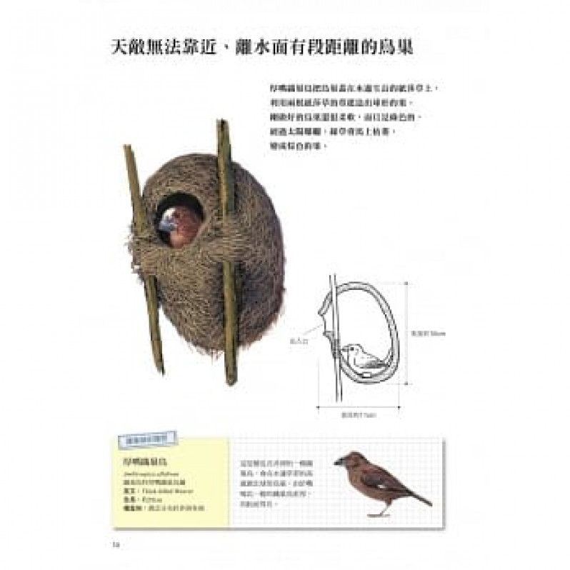 天生建築家：鈴木守的109種動天生建築家：鈴木守的109種動物巢穴大發現物巢穴大發現